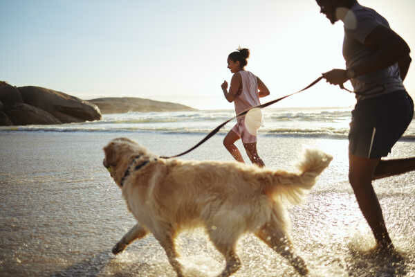 Joggen mit Hund: Darauf sollten Sie (im Sommer) achten - [GEO]