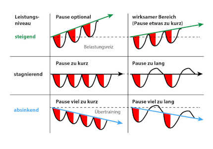 Superkompensation - Prinzip der optimalen Relation von Belastung und Erholung