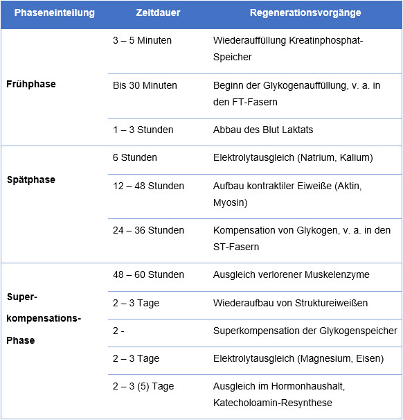 Superkompensation - Überblick über die Zeitdauer der Regenerationsvorgänge