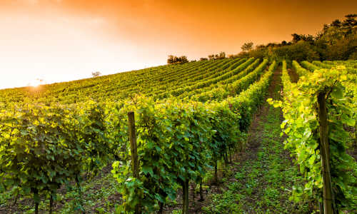 Ultramarathon hessisches Rodgau