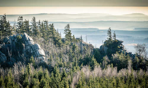 Ultramarathon Harzquerung